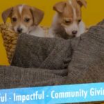 Animals being rescued as part of a CSR team building program